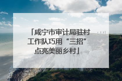 咸宁市审计局驻村工作队巧用“三招”点亮美丽乡村