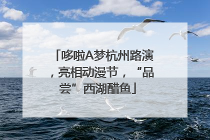 哆啦A梦杭州路演，亮相动漫节，“品尝”西湖醋鱼