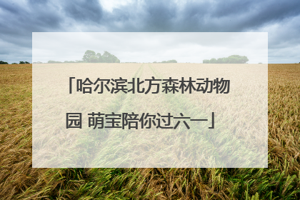 哈尔滨北方森林动物园 萌宝陪你过六一