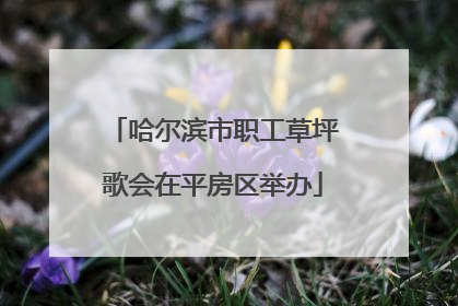 哈尔滨市职工草坪歌会在平房区举办