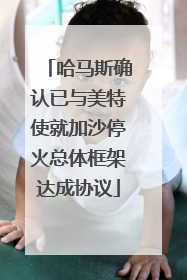 哈马斯确认已与美特使就加沙停火总体框架达成协议