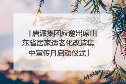 唐派集团应邀出席山东省居家适老化改造集中宣传月启动仪式