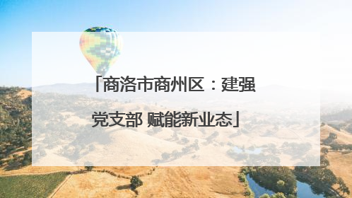 商洛市商州区：建强党支部 赋能新业态