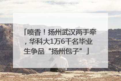 喷香！扬州武汉两手牵，华科大1万6千名毕业生争品“扬州包子”