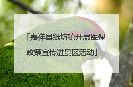 嘉祥县纸坊镇开展医保政策宣传进景区活动
