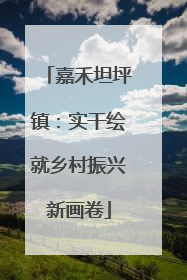 嘉禾坦坪镇：实干绘就乡村振兴新画卷