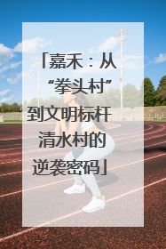 嘉禾：从“拳头村”到文明标杆 清水村的逆袭密码