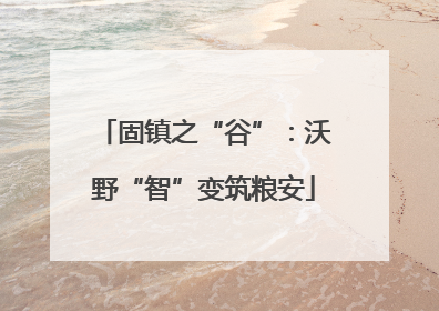固镇之“谷”：沃野“智”变筑粮安