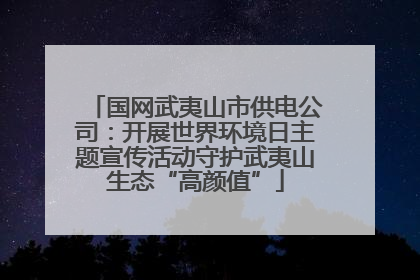 国网武夷山市供电公司：开展世界环境日主题宣传活动守护武夷山生态“高颜值”