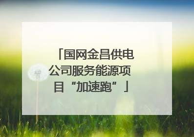 国网金昌供电公司服务能源项目“加速跑”