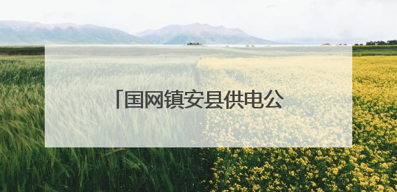 国网镇安县供电公司：绿色报装速度快 抗旱保电解民忧