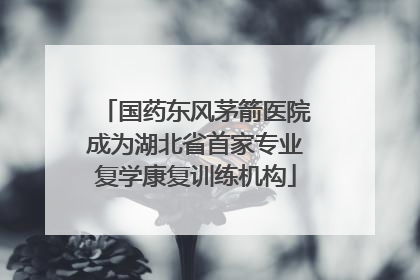 国药东风茅箭医院成为湖北省首家专业复学康复训练机构