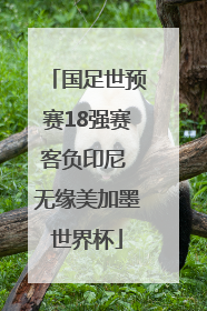 国足世预赛18强赛客负印尼 无缘美加墨世界杯