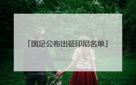 国足公布出征印尼名单