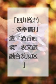 四川绵竹：多举措打造“酒香画境”农文旅融合发展区