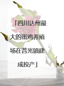 四川达州最大的蛋鸡养殖场在普光镇建成投产