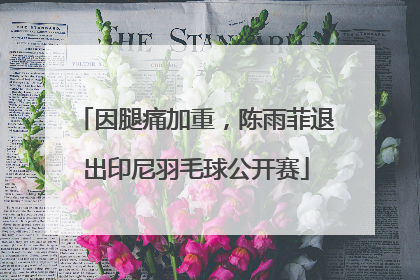 因腿痛加重，陈雨菲退出印尼羽毛球公开赛