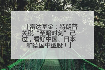 富达基金：特朗普关税“至暗时刻”已过，看好中国、日本和德国中型股！