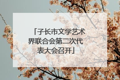 子长市文学艺术界联合会第二次代表大会召开