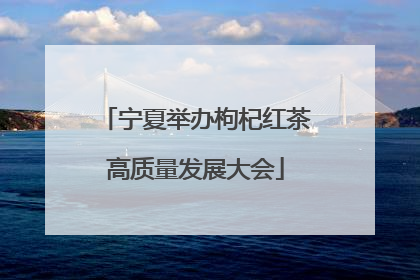 宁夏举办枸杞红茶高质量发展大会