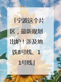 宁波这个片区，最新规划出炉！涉及地铁8号线、11号线
