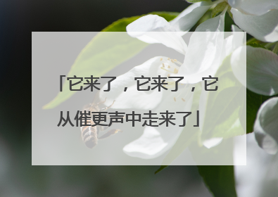 它来了，它来了，它从催更声中走来了