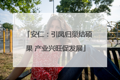 安仁：引凤归巢结硕果 产业兴旺促发展