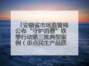 安徽省市场监管局公布“守护消费”铁拳行动第三批典型案例（重点民生产品质量专刊）