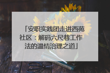 安职实践团走进西苑社区：解码六尺巷工作法的温情治理之道