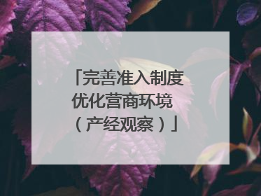 完善准入制度 优化营商环境（产经观察）