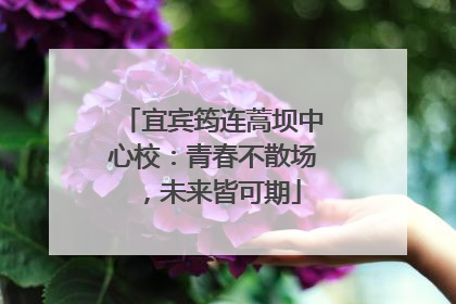 宜宾筠连蒿坝中心校：青春不散场，未来皆可期