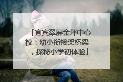 宜宾翠屏金坪中心校：幼小衔接架桥梁，探秘小学初体验