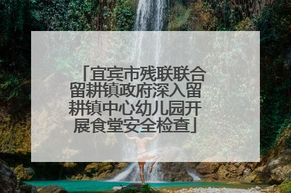 宜宾市残联联合留耕镇政府深入留耕镇中心幼儿园开展食堂安全检查
