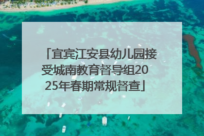 宜宾江安县幼儿园接受城南教育督导组2025年春期常规督查
