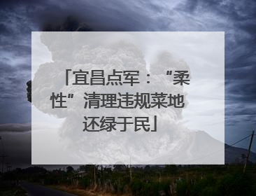 宜昌点军：“柔性”清理违规菜地 还绿于民