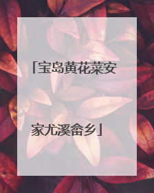 宝岛黄花菜安家尤溪畲乡