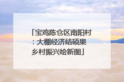 宝鸡陈仓区南阳村：大棚经济结硕果 乡村振兴绘新图