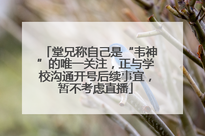 堂兄称自己是“韦神”的唯一关注，正与学校沟通开号后续事宜，暂不考虑直播