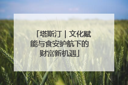 塔斯汀｜文化赋能与食安护航下的财富新机遇