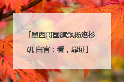 墨西哥国旗飘扬洛杉矶 白宫：看，罪证