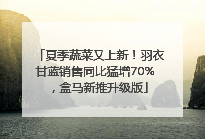 夏季蔬菜又上新！羽衣甘蓝销售同比猛增70%，盒马新推升级版