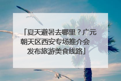 夏天避暑去哪里？广元朝天区西安专场推介会 发布旅游美食线路