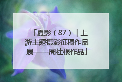 夏影（87）｜上游主题摄影征稿作品展——周社根作品