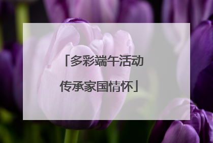多彩端午活动 传承家国情怀