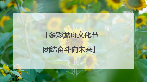 多彩龙舟文化节 团结奋斗向未来