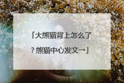 大熊猫背上怎么了？熊猫中心发文→