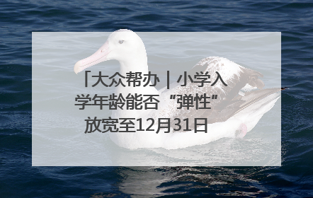 大众帮办｜小学入学年龄能否“弹性”放宽至12月31日？有地方已在探索