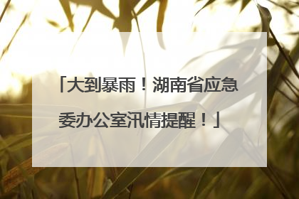 大到暴雨！湖南省应急委办公室汛情提醒！