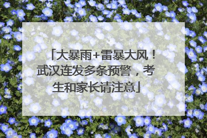 大暴雨+雷暴大风！武汉连发多条预警，考生和家长请注意