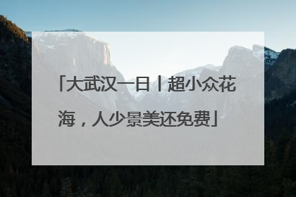 大武汉一日丨超小众花海，人少景美还免费